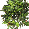 Plante artificielle Croton Tree 120 cm Plante artificielle Croton Tree 120 cm