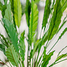 Kunstplant Calathea 80 cm Kunstplant Calathea 80 cm