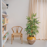 Plante artificielle Bambou Buddha 120 cm Plante artificielle Bambou Buddha 120 cm