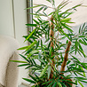 Plante artificielle Bambou Buddha 120 cm Plante artificielle Bambou Buddha 120 cm