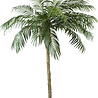 Kunstpalm Phoenix De Luxe 250 cm Kunstpalm Phoenix De Luxe 250 cm
