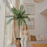 Kunstpalm Phoenix De Luxe 250 cm Kunstpalm Phoenix De Luxe 250 cm