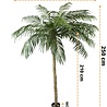 Kunstpalm Phoenix De Luxe 250 cm Kunstpalm Phoenix De Luxe 250 cm