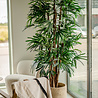Palmier artificiel Lady 210 cm Palmier artificiel Lady 210 cm