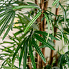 Palmier artificiel Lady 210 cm Palmier artificiel Lady 210 cm
