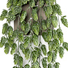 Plante artificielle suspendue Hops 70 cm Plante artificielle suspendue Hops 70 cm