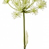 Griffe d'ours artificielle 78 cm Griffe d'ours artificielle 78 cm