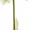 Griffe d'ours artificielle 78 cm Griffe d'ours artificielle 78 cm