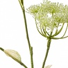 Fleur artificielle berce du Caucase 105 cm Fleur artificielle berce du Caucase 105 cm