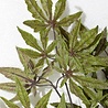 Branche d'érable artificielle automne 70 cm Branche d'érable artificielle automne 70 cm