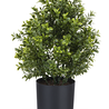 Plante artificielle buxus mini 36 cm en pot UV Plante artificielle buxus mini 36 cm en pot UV