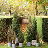 Plante artificielle Conifer tower 150 cm UV Plante artificielle Conifer tower 150 cm UV