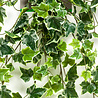 Plante suspendue lierre artificiel fourrure 70 cm Plante suspendue lierre artificiel fourrure 70 cm