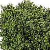 Haie de buis artificielle 100x20x25 cm UV Haie de buis artificielle 100x20x25 cm UV