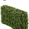 Haie de buis artificielle 100x20x50 cm UV Haie de buis artificielle 100x20x50 cm UV