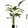Plante artificielle Strelitzia Deluxe 180 cm Plante artificielle Strelitzia Deluxe 180 cm
