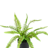 Fougère artificielle 25 cm dans un pot Fougère artificielle 25 cm dans un pot