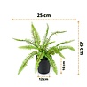 Fougère artificielle 25 cm dans un pot Fougère artificielle 25 cm dans un pot