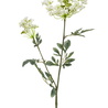 Fleur artificielle Aneth 75 cm blanc Fleur artificielle Aneth 75 cm blanc