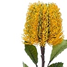 Fleur artificielle Banksia jaune 72 cm Fleur artificielle Banksia jaune 72 cm