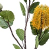 Fleur artificielle Banksia jaune 72 cm Fleur artificielle Banksia jaune 72 cm