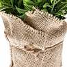 Plante artificielle Ruscus 20 cm Plante artificielle Ruscus 20 cm