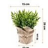 Plante artificielle Ruscus 20 cm Plante artificielle Ruscus 20 cm
