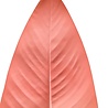 Feuille artificielle Canna coral 100 cm Feuille artificielle Canna coral 100 cm