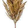 Herbe de pampa artificielle beige 115 cm Herbe de pampa artificielle beige 115 cm
