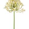 Fleur artificielle Agapanthe 75 cm crème Fleur artificielle Agapanthe 75 cm crème