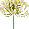 Fleur artificielle Agapanthe 75 cm crème Fleur artificielle Agapanthe 75 cm crème