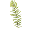 Branche de fougère artificielle 100 cm vert Branche de fougère artificielle 100 cm vert