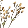 Pissenlit artificiel 70 cm beige Pissenlit artificiel 70 cm beige