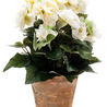 Plante artificielle Begonia 30 cm crème en pot Plante artificielle Begonia 30 cm crème en pot