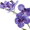 Fleur artificielle Vanda 60 cm violet en pot Fleur artificielle Vanda 60 cm violet en pot