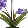 Fleur artificielle Vanda 60 cm violet en pot Fleur artificielle Vanda 60 cm violet en pot