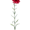 Fleur artificielle Oeillet 67 cm rouge Fleur artificielle Oeillet 67 cm rouge