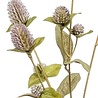 Fleur artificielle Gomphrena 68 cm violet Fleur artificielle Gomphrena 68 cm violet