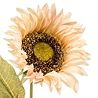Tournesol artificiel 67 cm beige Tournesol artificiel 67 cm beige