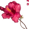 Fleur artificielle Hibiscus 85 cm fuchsia Fleur artificielle Hibiscus 85 cm fuchsia