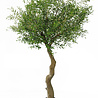 Olivier artificiel 270 cm sans olives Olivier artificiel 270 cm sans olives