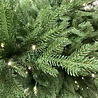 Hoge kwaliteit Kunstkerstboom Hageland 210 cm 350-LED Hoge kwaliteit Kunstkerstboom Hageland 210 cm 350-LED
