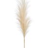 Fleur artificielle Pampas plume beige 115 cm Fleur artificielle Pampas plume beige 115 cm