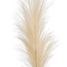 Fleur artificielle Pampas plume beige 115 cm Fleur artificielle Pampas plume beige 115 cm