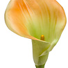 Lys artificiel Calla jaune 70 cm Lys artificiel Calla jaune 70 cm
