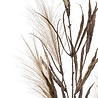 Gazon artificiel Herbe de la pampa beige 95 cm Gazon artificiel Herbe de la pampa beige 95 cm