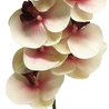 Branche d'orchidée artificielle 77 cm rose (touche réelle) Branche d'orchidée artificielle 77 cm rose (touche réelle)