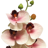 Branche d'orchidée artificielle 77 cm rose (touche réelle) Branche d'orchidée artificielle 77 cm rose (touche réelle)