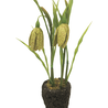 Plante artificielle Fritillaris 25 cm vert Plante artificielle Fritillaris 25 cm vert