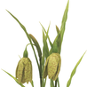 Plante artificielle Fritillaris 25 cm vert Plante artificielle Fritillaris 25 cm vert